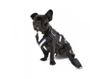 Ремень безопасности для собаки Skoda Dog Safety Belt, размер XL